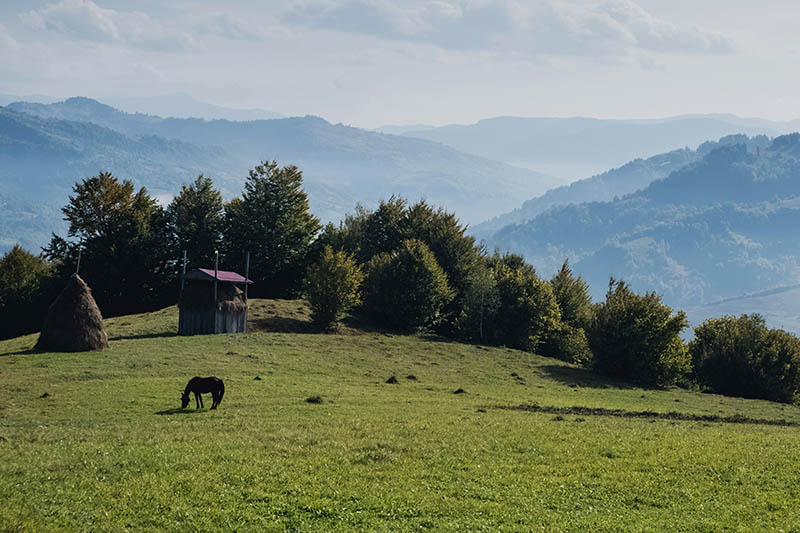 Karadeniz Ülkelerinden Ukrayna