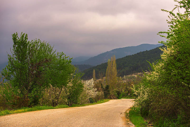 Kaz Dağları