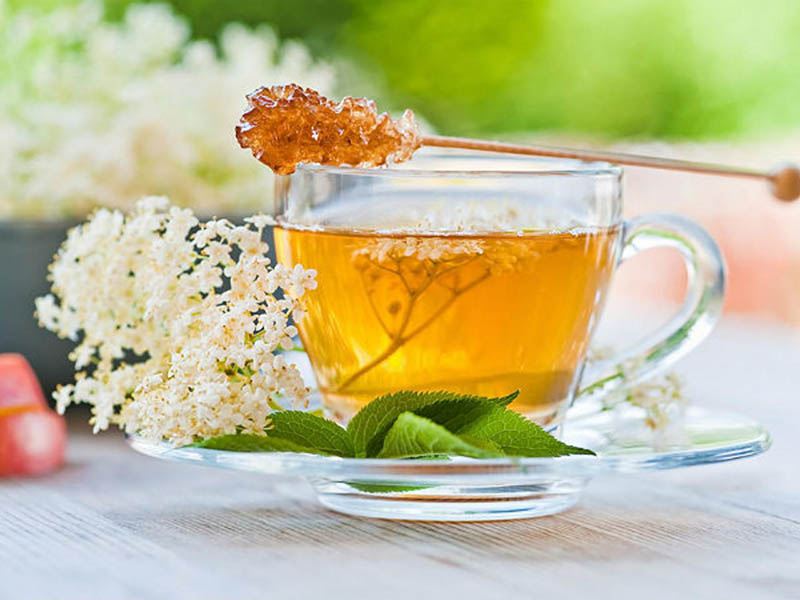 Mürver Çayı, Soğuk Algınlığına İyi Gelen Bitki Çayları..