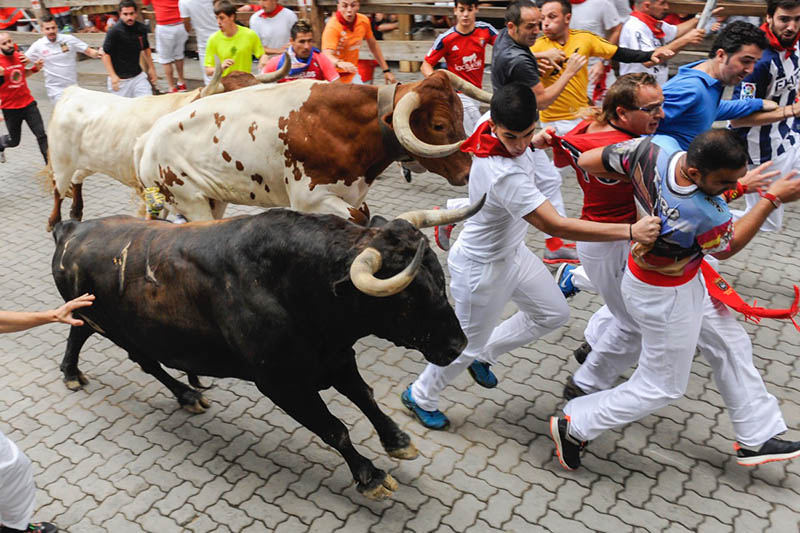 Running of the Bulls (Boğa Koşusu)